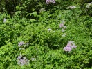 Bild1
