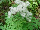 Bild4