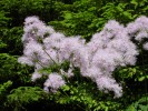 Bild5