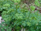 Bild7