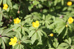 Bild5