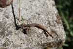 Bild6