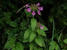 Bild3