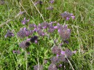 Bild6