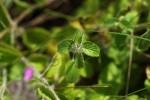 Bild8