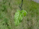 Bild9