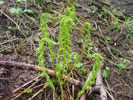 Bild4