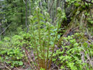 Bild5