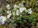 Bild1