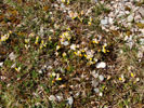 Bild1