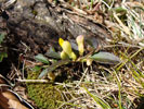 Bild4