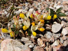 Bild5
