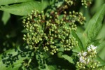 Bild6